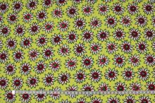 Šatovka žlutá, červeno-bílé květy, š.140