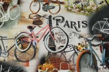 Úplet bicykel a Paríž, š.160