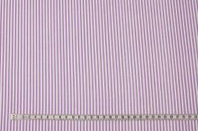 Bavlna bílo-fialový proužek, š.160