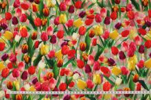 Úplet pestrobarevný, motiv tulipány, š.160