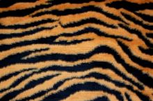 Kožešina tygr, oranžovo-černý vzor, š.150