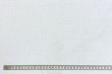 Bavlnené plátno P0616 biele, svetlo modré bodky, š.140