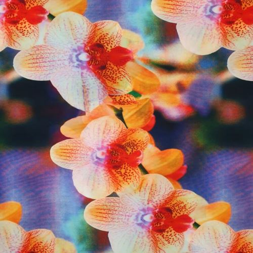 Úplet barevný, oranžovo-růžová orchidej, š.140
