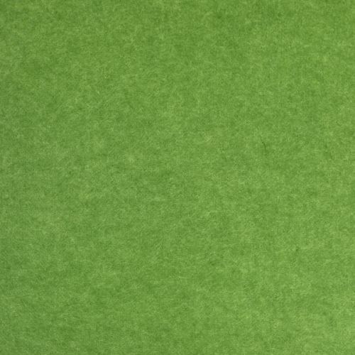 Filc / plsť zelený, š.150