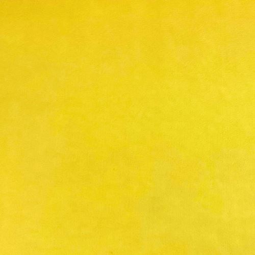 Filc / plsť žlutý, š.150