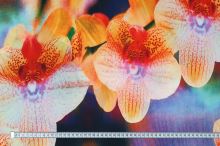 Úplet barevný, oranžovo-růžová orchidej, š.140