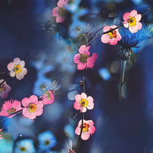 Teplákovina nepočesaná modrá, ružové kvety, š.180