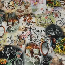Úplet bicykl a Paříž, š.160