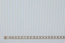 Bavlněné plátno bílé, modrý proužek, š.140