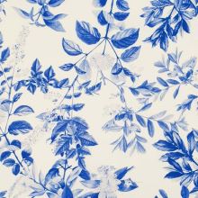 Popelín B0056 bílý, modrý květinový vzor, š.145