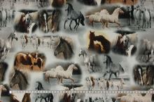 Úplet 17417 koně, š.160
