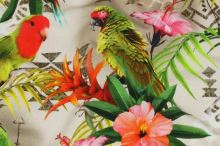 Úplet barevné květy a papoušci, š.160