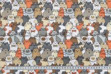 Bavlněné plátno, oranožovo-šedé kočky, š.140