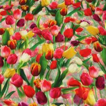 Úplet pestrobarevný, motiv tulipány, š.160