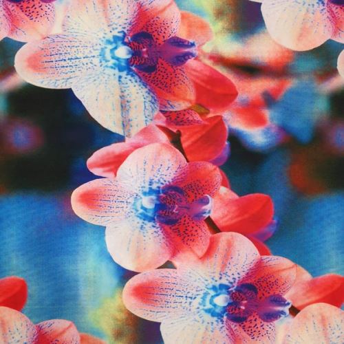 Úplet farebný, červeno-modrá orchidea, š.140